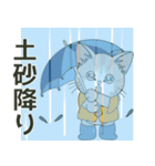 【台風•大雨•雷】仔猫のぽんにゃん（個別スタンプ：8）