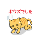 とらねこ・釣りねこスタンプ（個別スタンプ：22）