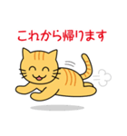 とらねこ・釣りねこスタンプ（個別スタンプ：24）