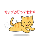 とらねこ・釣りねこスタンプ（個別スタンプ：26）