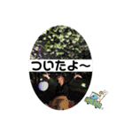 すぎまほちゃんスタンプ（個別スタンプ：3）