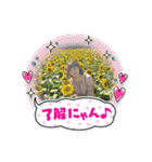 すぎまほちゃんスタンプ（個別スタンプ：16）