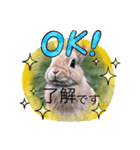 AIうさぎの敬語スタンプ（個別スタンプ：1）