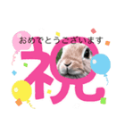 AIうさぎの敬語スタンプ（個別スタンプ：4）