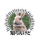 AIうさぎの敬語スタンプ（個別スタンプ：8）