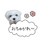 ハナちゃんとのおしゃべり（個別スタンプ：6）