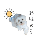 ハナちゃんとのおしゃべり（個別スタンプ：7）
