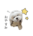 ハナちゃんとのおしゃべり（個別スタンプ：8）