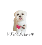 ハナちゃんとのおしゃべり（個別スタンプ：11）