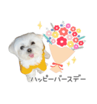 ハナちゃんとのおしゃべり（個別スタンプ：13）