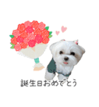 ハナちゃんとのおしゃべり（個別スタンプ：15）