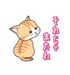 にゃんちょこりん(茶白トラ猫)（個別スタンプ：3）