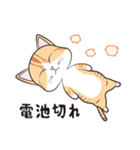 にゃんちょこりん(茶白トラ猫)（個別スタンプ：6）