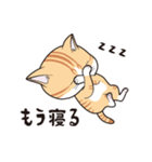 にゃんちょこりん(茶白トラ猫)（個別スタンプ：7）