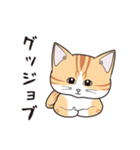 にゃんちょこりん(茶白トラ猫)（個別スタンプ：14）