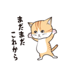 にゃんちょこりん(茶白トラ猫)（個別スタンプ：15）