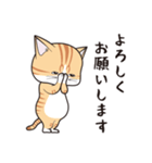 にゃんちょこりん(茶白トラ猫)（個別スタンプ：25）