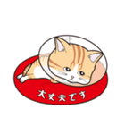 にゃんちょこりん(茶白トラ猫)（個別スタンプ：30）