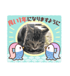 ねこスタんぷ！（個別スタンプ：8）