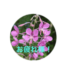 夏バージョン5（個別スタンプ：6）