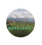 夏バージョン5（個別スタンプ：19）