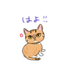 福を呼ぶ！！かぎしっぽねこ大ちゃんの秋（個別スタンプ：29）