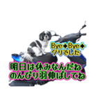 愛犬の名前スタンプ（クリ）（個別スタンプ：13）