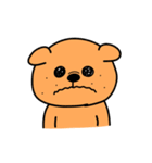 にこいちわんこ3（個別スタンプ：34）