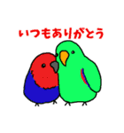 らくがきインコ ミックス1（個別スタンプ：7）