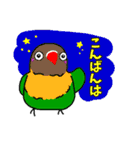 らくがきインコ ミックス1（個別スタンプ：20）