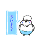 らくがきインコ ミックス1（個別スタンプ：33）