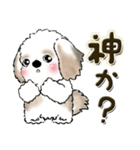 【New Ver.】シーズー犬 7『オタクちゃん』（個別スタンプ：10）