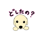 子犬のさくら（個別スタンプ：4）