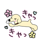 子犬のさくら（個別スタンプ：6）