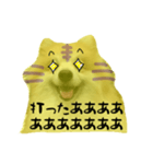 ポメラニアンの虎党応援スタンプ（個別スタンプ：3）