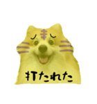 ポメラニアンの虎党応援スタンプ（個別スタンプ：5）