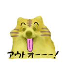 ポメラニアンの虎党応援スタンプ（個別スタンプ：9）