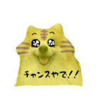ポメラニアンの虎党応援スタンプ（個別スタンプ：12）