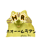 ポメラニアンの虎党応援スタンプ（個別スタンプ：18）