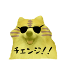 ポメラニアンの虎党応援スタンプ（個別スタンプ：19）