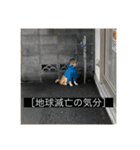 普段使いできる犬字幕（個別スタンプ：6）