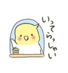 オカメインコ ルチノー レモ太くん（個別スタンプ：6）