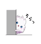 ふわきゅう（個別スタンプ：20）