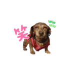 RIA_スタンプ2（個別スタンプ：4）