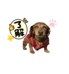 RIA_スタンプ2（個別スタンプ：8）