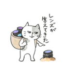 どらねこカメラ（個別スタンプ：12）