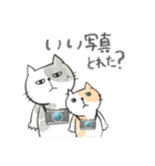 どらねこカメラ（個別スタンプ：19）