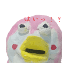 天然なペンギンちゃん（個別スタンプ：16）