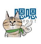 台湾中国語(繁体字)★毎日使える猫スタンプ（個別スタンプ：6）