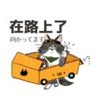 台湾中国語(繁体字)★毎日使える猫スタンプ（個別スタンプ：22）